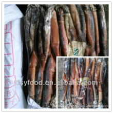 China squid factory/ offer A grade illex squid